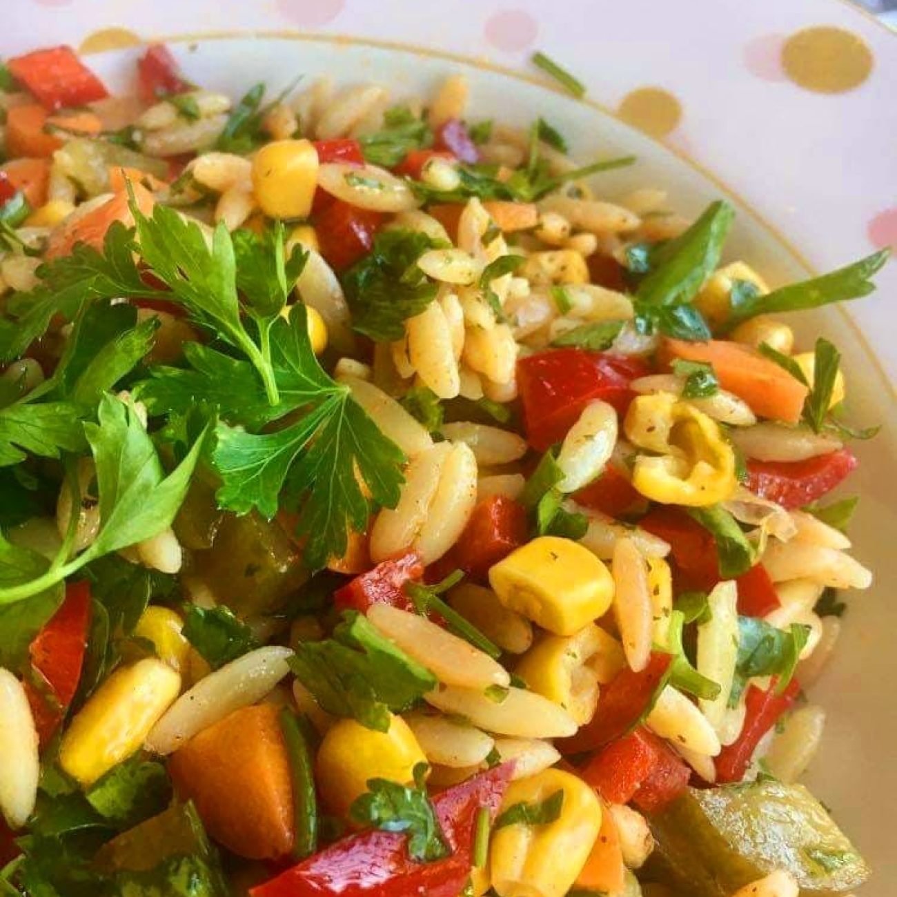 Arpa Şehriye Salatası