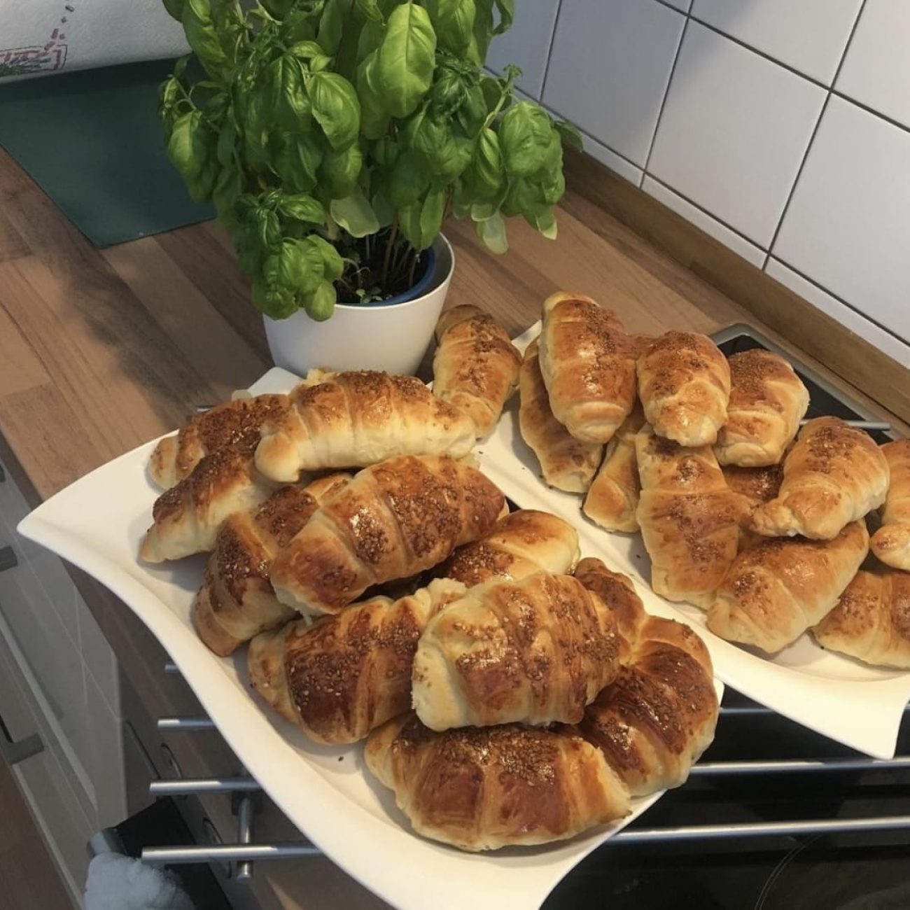 Katmer Poğaça